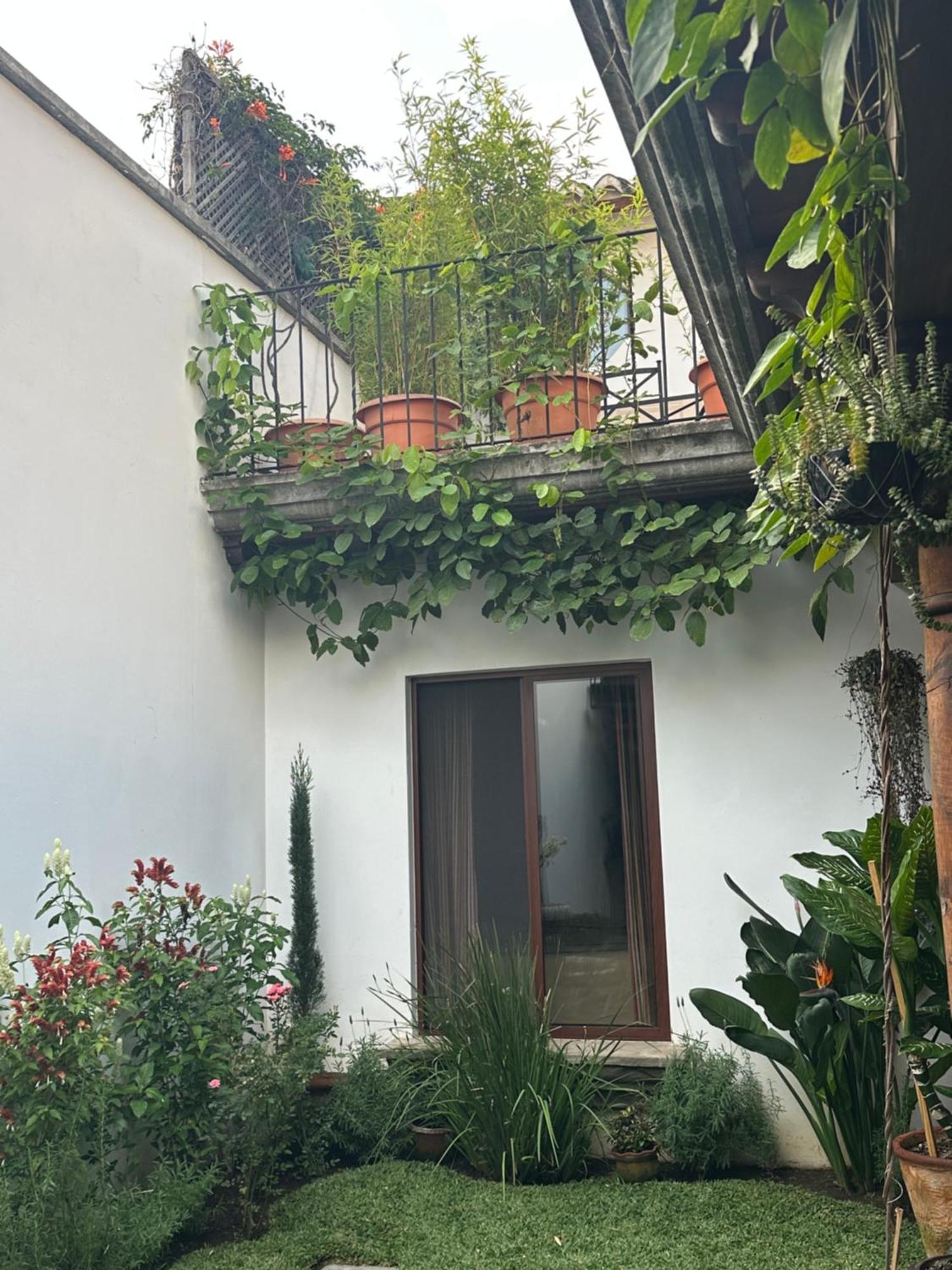 Casa Elena Bed & Breakfast Antigua Екстериор снимка