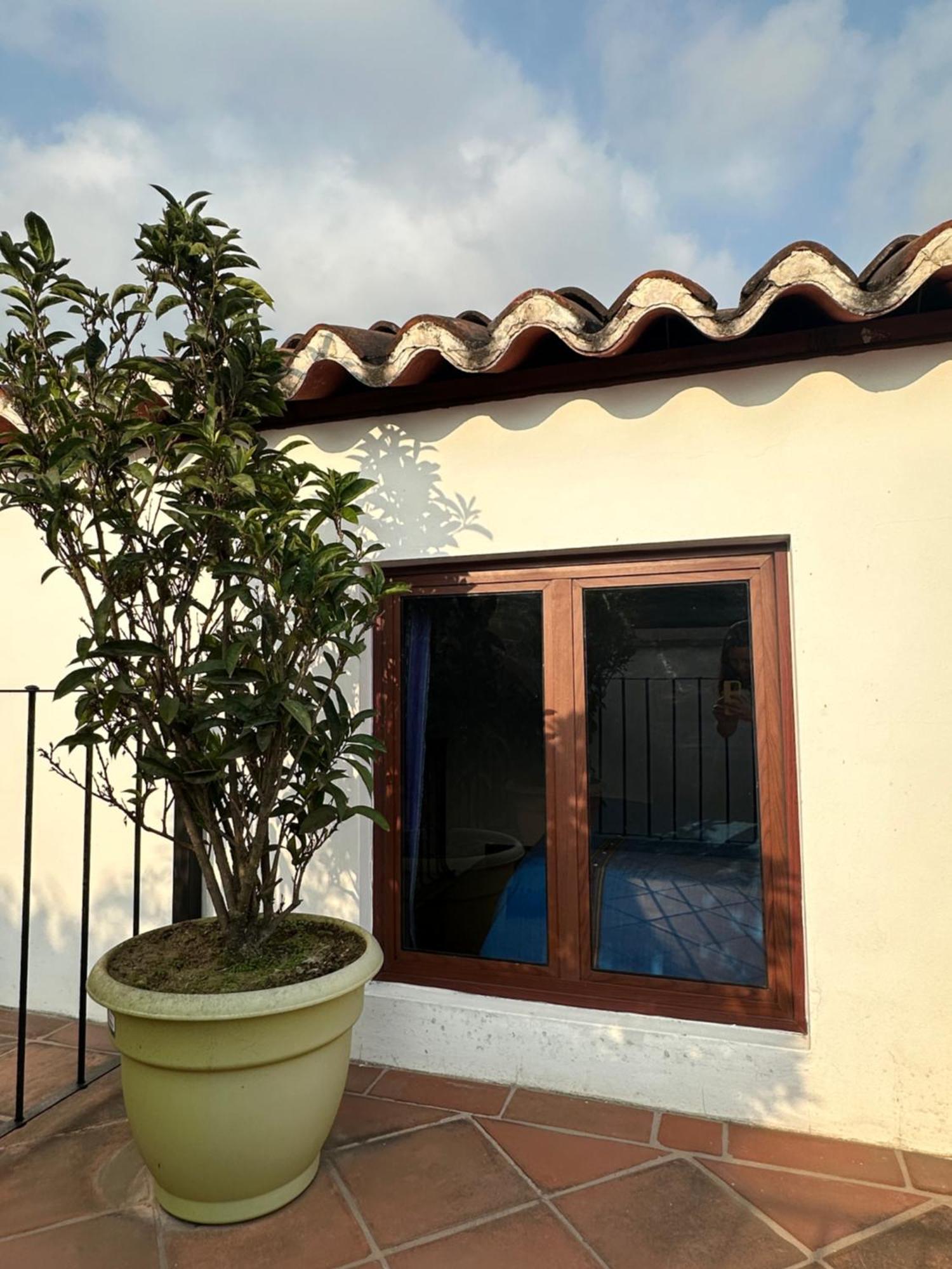Casa Elena Bed & Breakfast Antigua Екстериор снимка